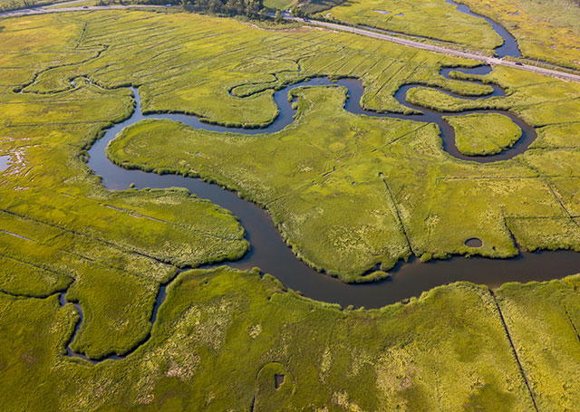 about-esg https://riftalliance.com/wp-content/uploads/2021/06/about-esg.jpg